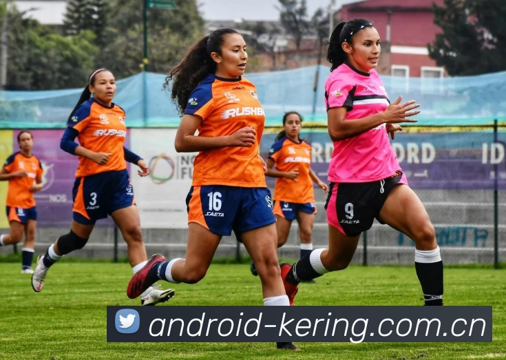 平台展示